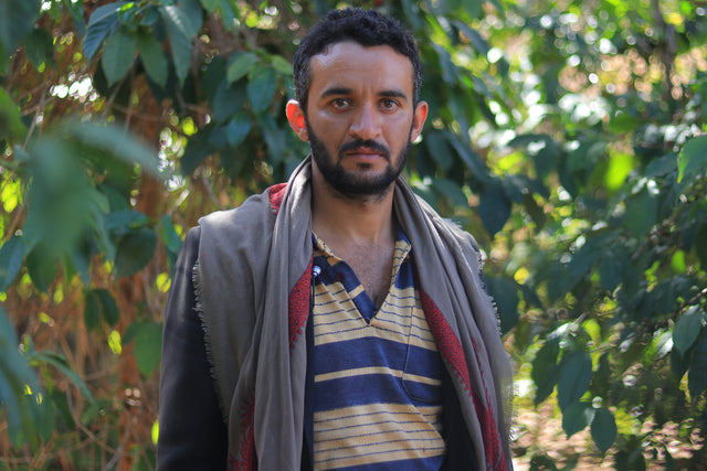 Mohammed Yahya Rashed Al-Jaberi