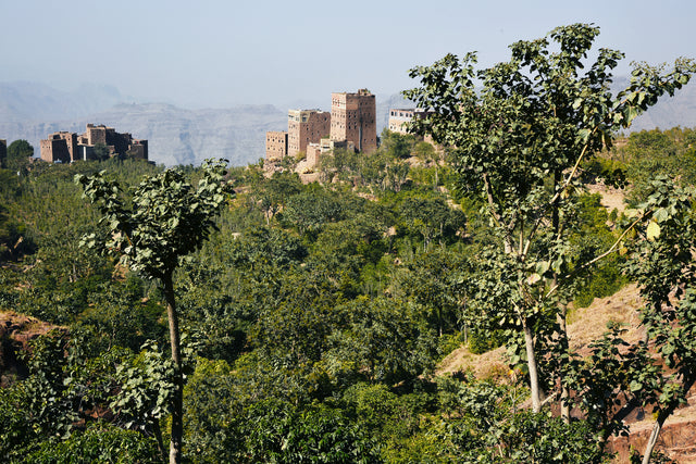 PSK Experimental Lot