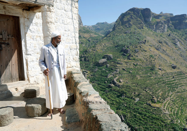 Sheba Coffee Auction 2023