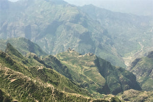Wadi Beddah