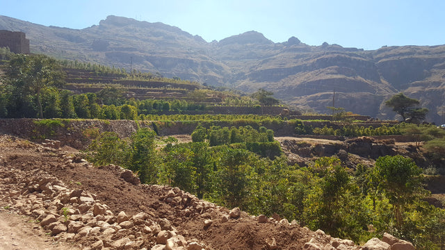 Yemen - Collective Al Mahjar & Bait Hujairah